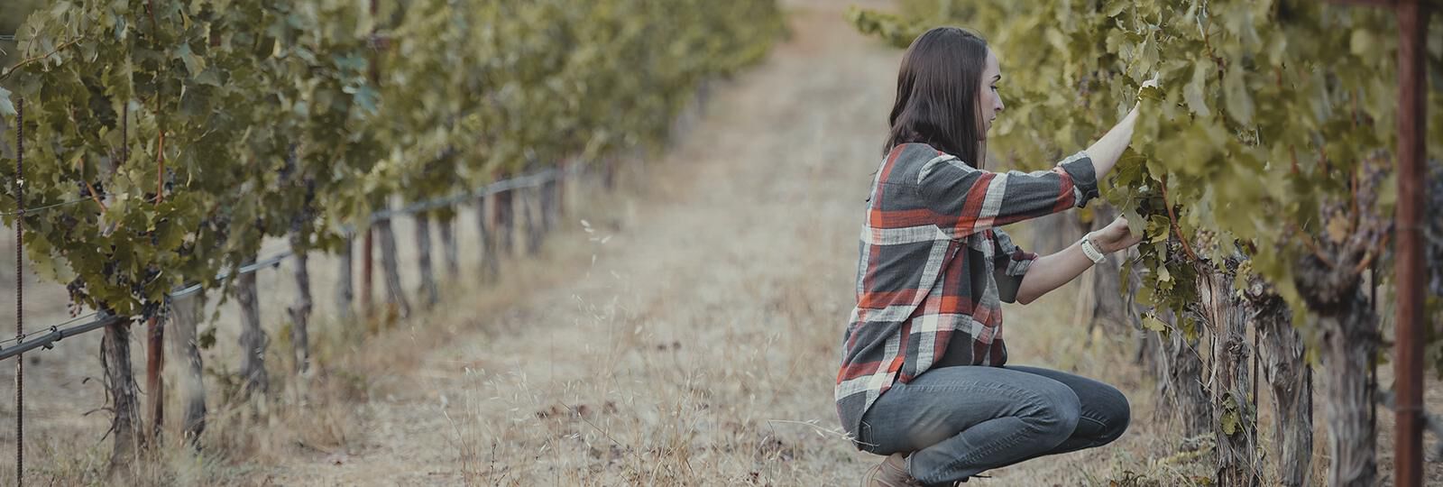 Arrowood Winemaker Kirstina Shideler